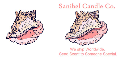 PinkConchDrawingDouble.jpg