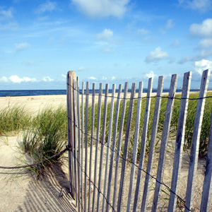 Beach House Reed Diffuser Oil