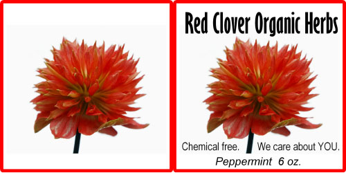 Custom Printed Self-Stick Label - Red Clover