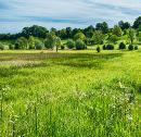 country-meadow-reed-diffuser-oil